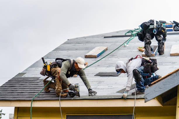Professional Gutter Installation technician working in Saint Stephen, MN